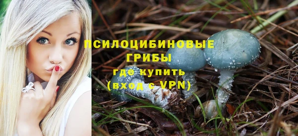 spice Алзамай