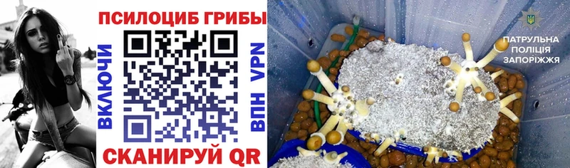 цена наркотик  mega зеркало  Псилоцибиновые грибы Magic Shrooms  Чебаркуль 